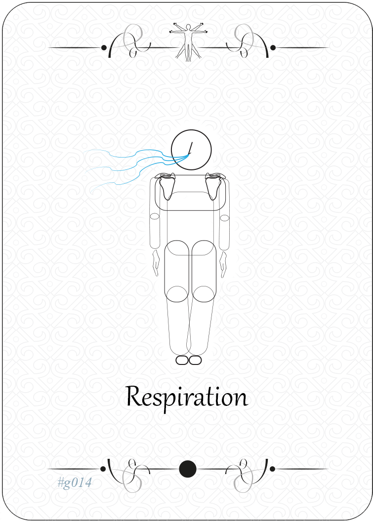 Respiration