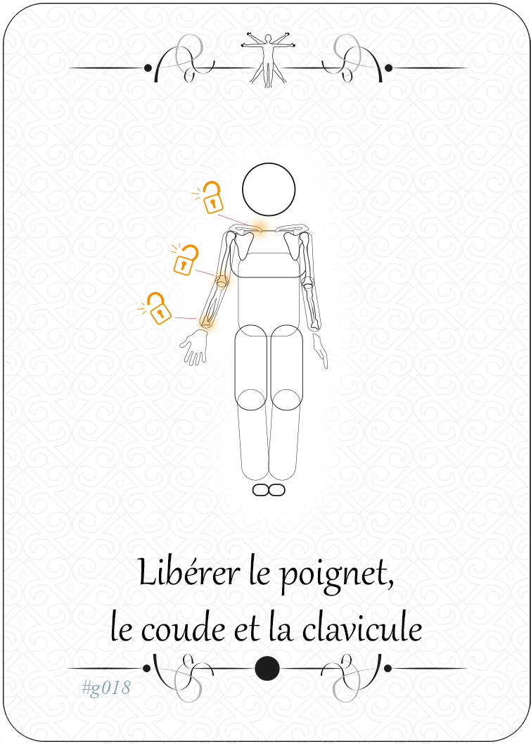 Libérer le poignet, le coude et la clavicule